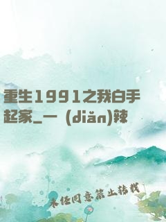重生1991之我白手起家