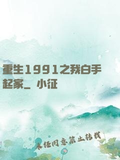 重生1991之我白手起家