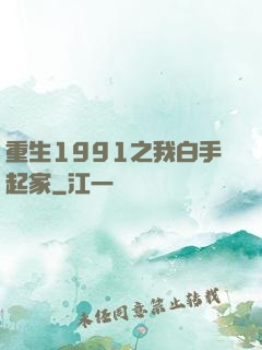 重生1991之我白手起家