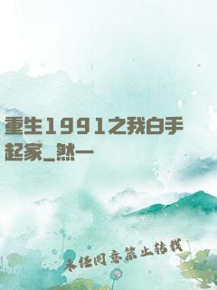 重生1991之我白手起家
