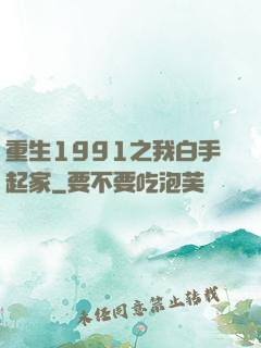 重生1991之我白手起家