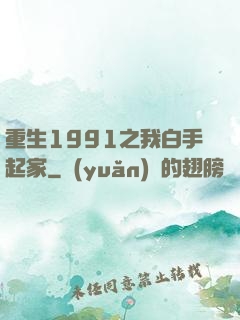 重生1991之我白手起家