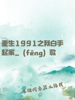 重生1991之我白手起家