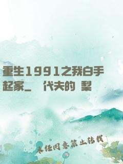重生1991之我白手起家