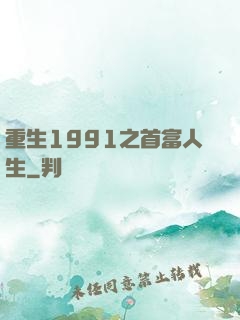 重生1991之首富人生