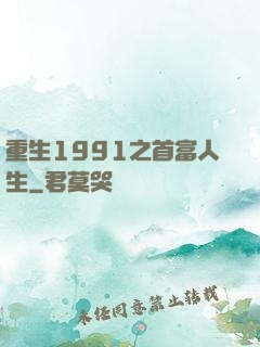 重生1991之首富人生