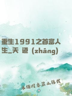 重生1991之首富人生