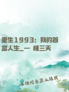 重生1993：我的首富人生