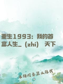 重生1993：我的首富人生