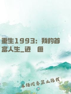 重生1993：我的首富人生