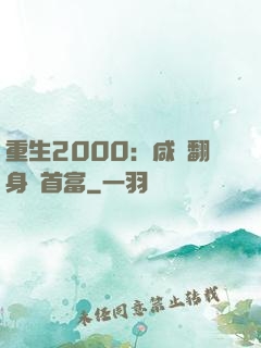 重生2000：咸魚翻身變首富