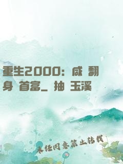 重生2000：咸魚翻身變首富