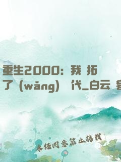重生2000：我開拓了網(wǎng)絡時代