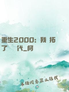 重生2000：我開拓了網絡時代