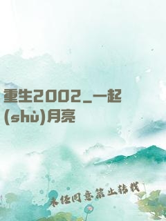 重生2002