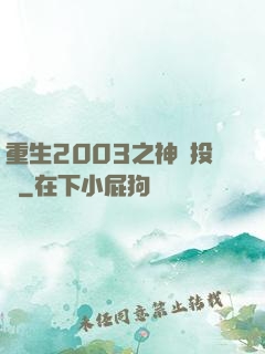 重生2003之神級投資