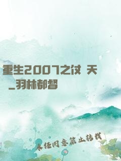 重生2007之仗劍天龍