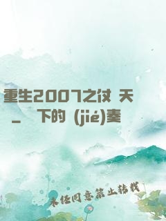 重生2007之仗劍天龍