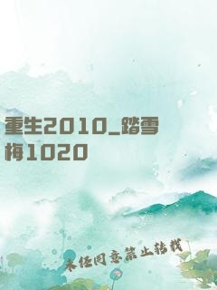 重生2010