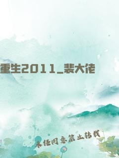 重生2011