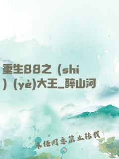 重生88之實(shí)業(yè)大王