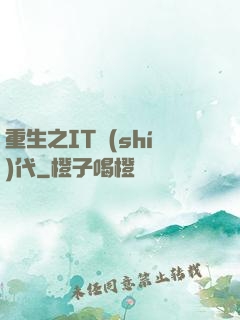 重生之IT時(shí)代