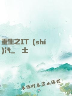 重生之IT時(shí)代