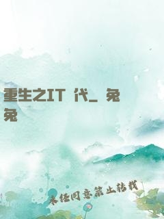 重生之IT時代