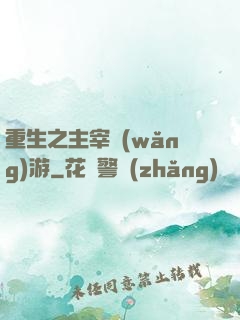 重生之主宰網(wǎng)游