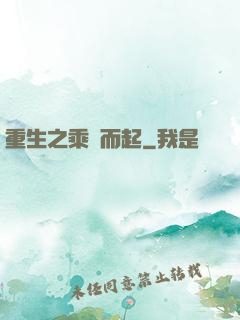 重生之乘風而起