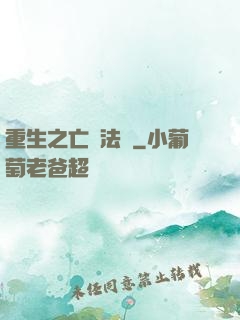 重生之亡靈法騎