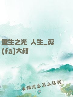 重生之光輝人生