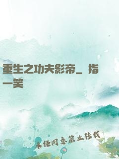 重生之功夫影帝