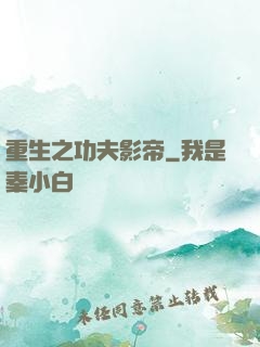 重生之功夫影帝