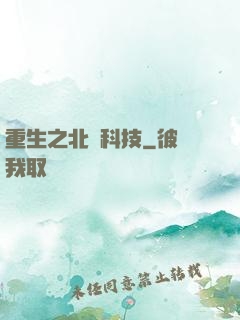 重生之北國科技