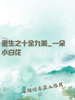 重生之十全九美