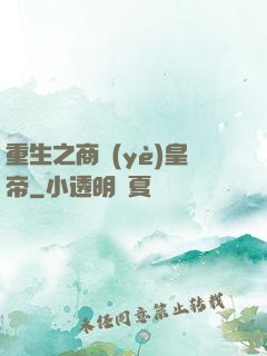 重生之商業(yè)皇帝