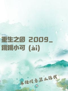 重生之回檔2009