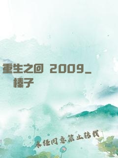 重生之回檔2009