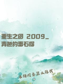 重生之回檔2009