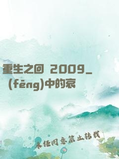 重生之回檔2009