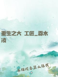 重生之大國工匠