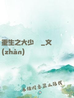 重生之大少歸來