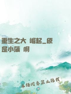 重生之大廠崛起