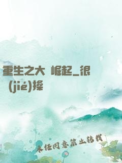 重生之大廠崛起
