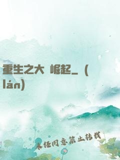 重生之大廠崛起