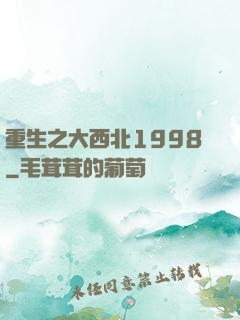重生之大西北1998