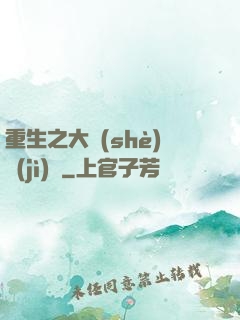 重生之大設(shè)計(jì)師