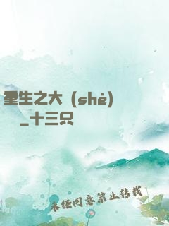 重生之大設(shè)計師