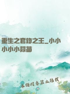 重生之套路之王